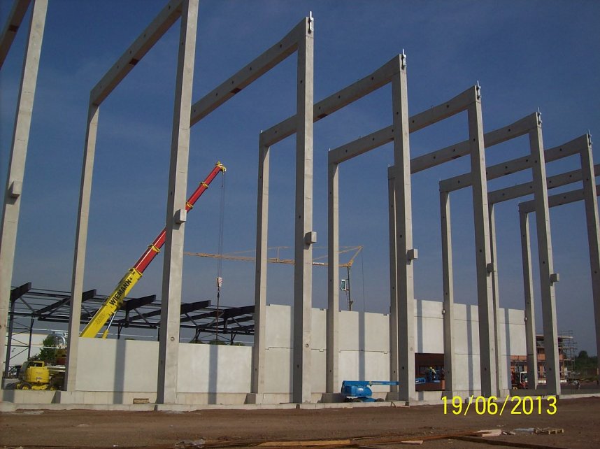 Das Skelett w&auml;chst