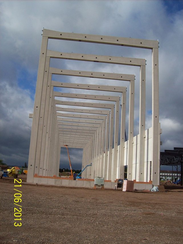 Das Skelett w&auml;chst