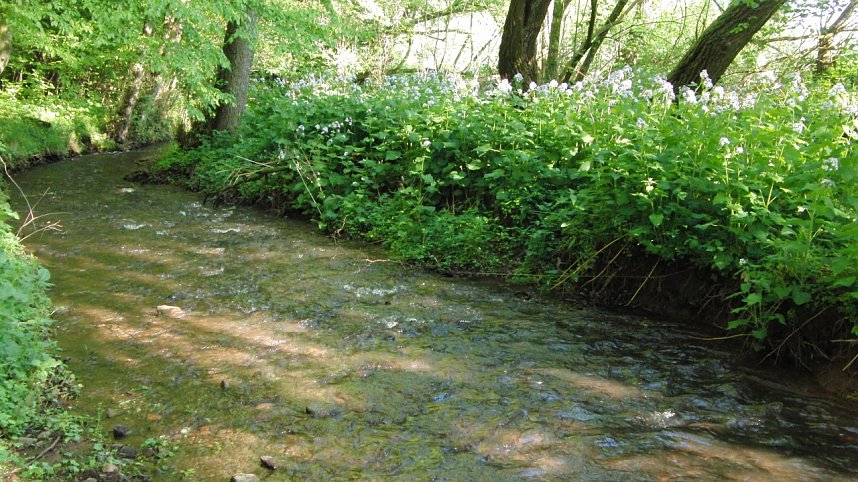 Das Steinm&uuml;hlental
