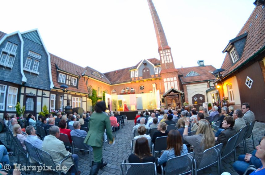 Der eingebildete Kranke