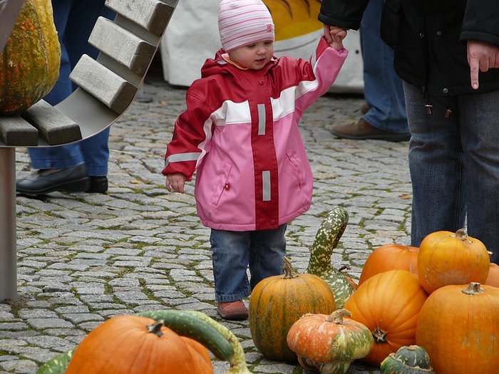 Zwiebelmarkt in Nordhausen