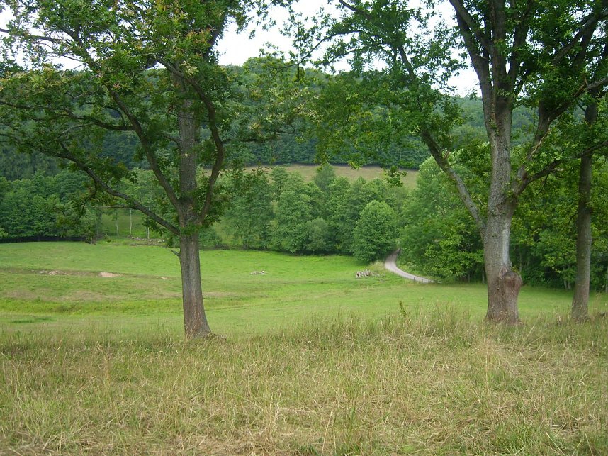 Das Fuhrbach-/Steinm&uuml;hlental