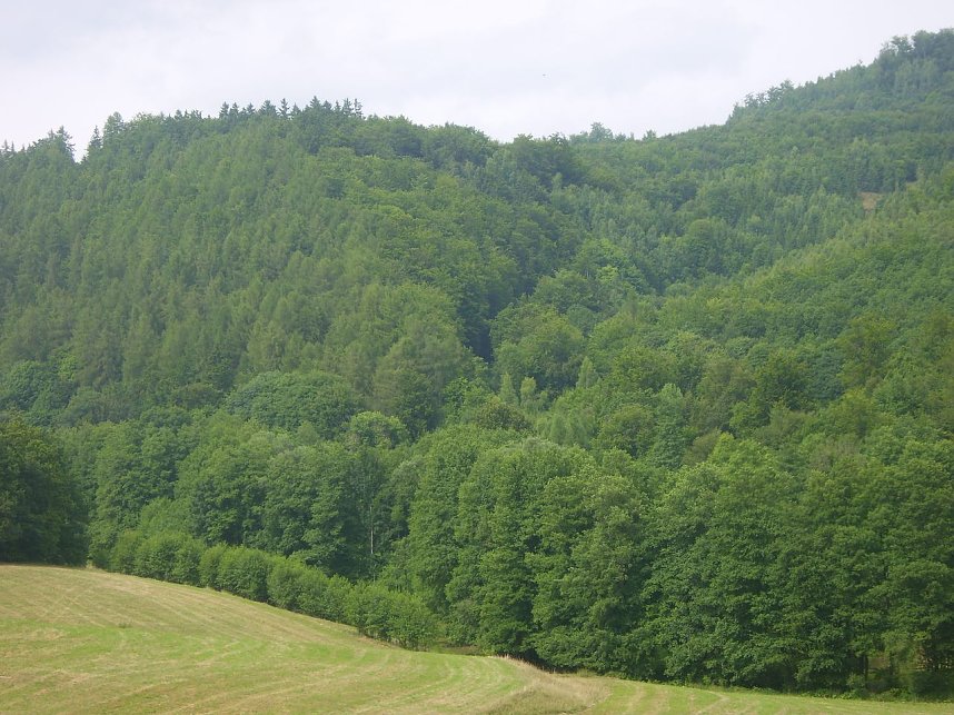 Das Fuhrbach-/Steinm&uuml;hlental
