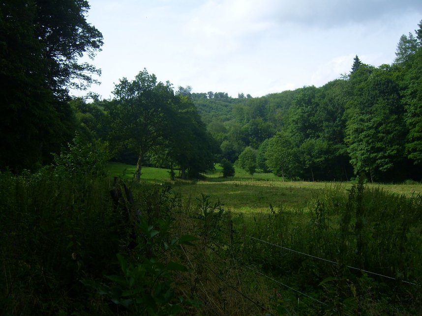 Das Fuhrbach-/Steinm&uuml;hlental