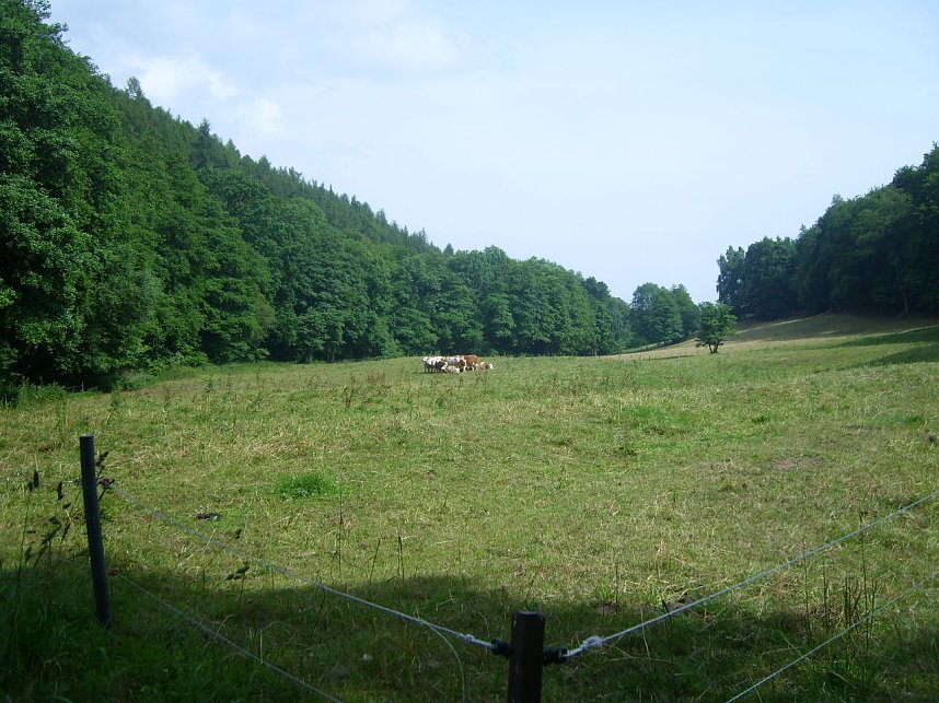 Das Fuhrbach-/Steinm&uuml;hlental