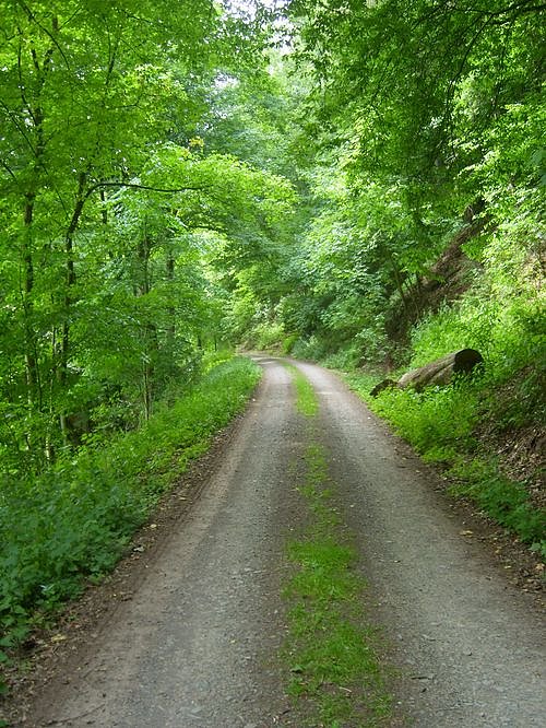 Das Fuhrbach-/Steinm&uuml;hlental
