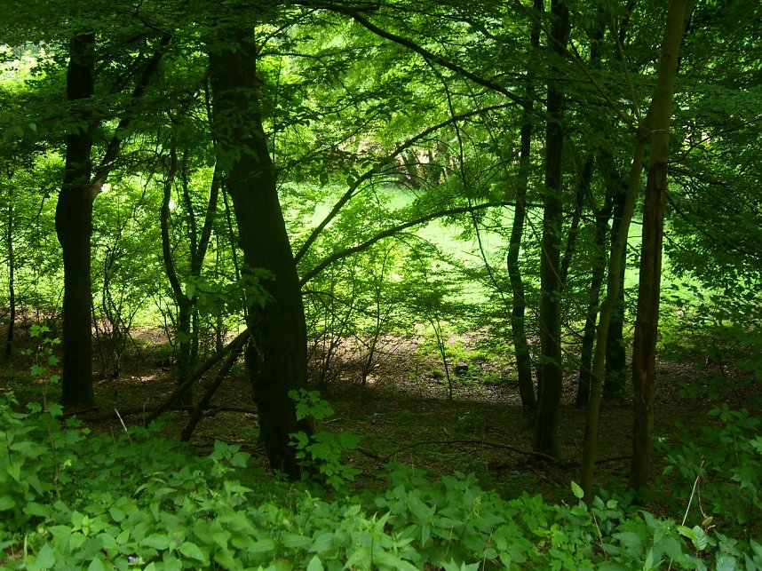 Das Fuhrbach-/Steinm&uuml;hlental