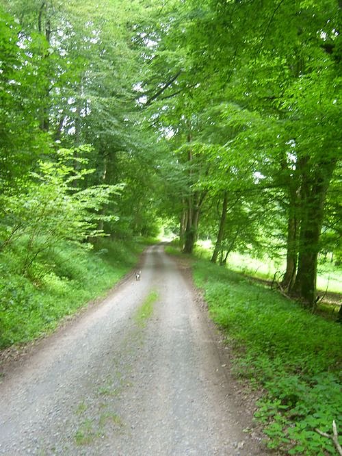 Das Fuhrbach-/Steinm&uuml;hlental