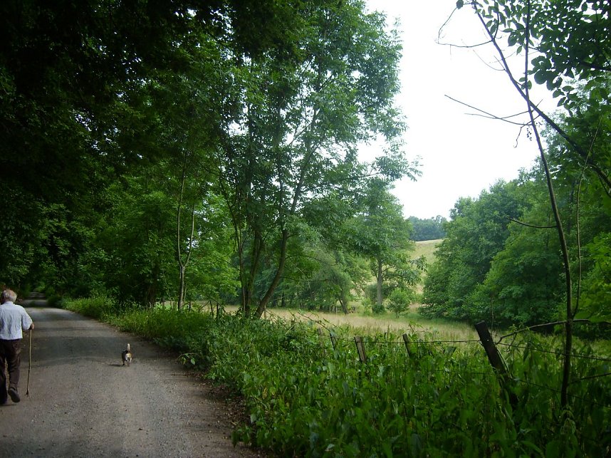 Das Fuhrbach-/Steinm&uuml;hlental