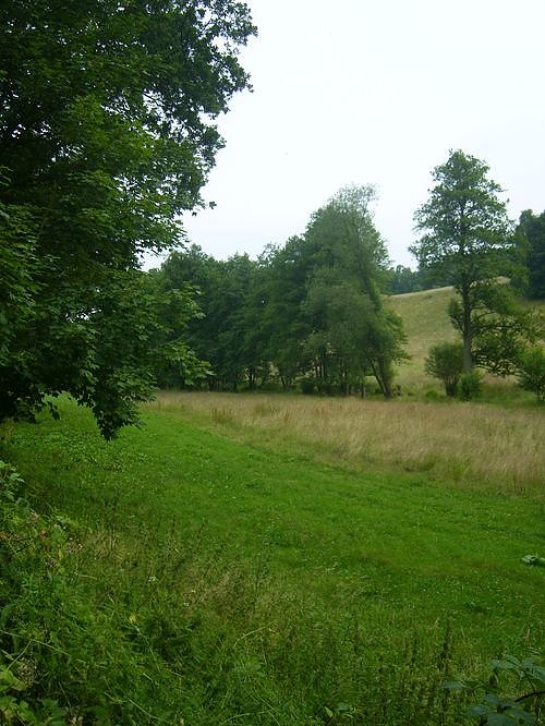 Das Fuhrbach-/Steinm&uuml;hlental