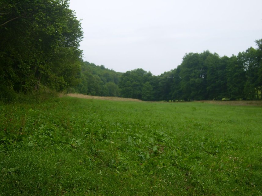 Das Fuhrbach-/Steinm&uuml;hlental