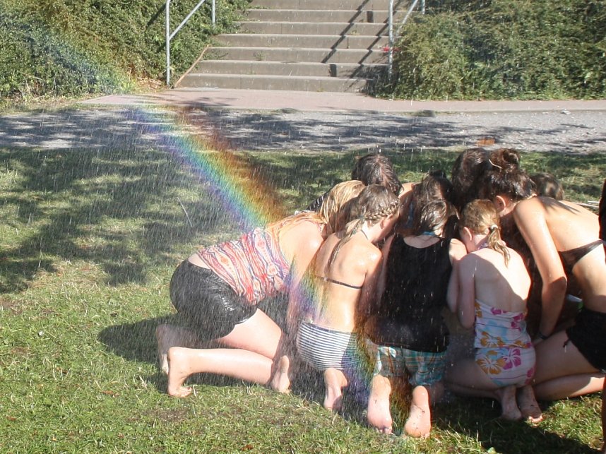 Der 7. Tag in Bildern