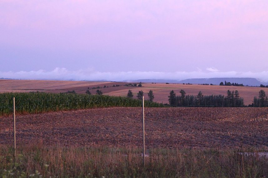 Unwetter in und um Nordhausen