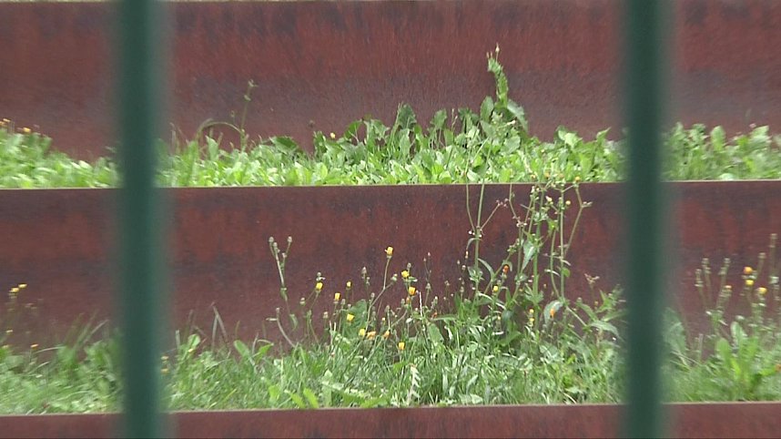 Bilder einer Wasserachse