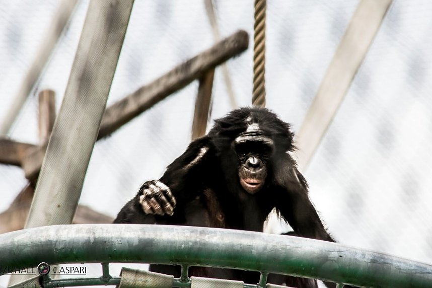 Stuttgart und der Stuttgarter Zoo