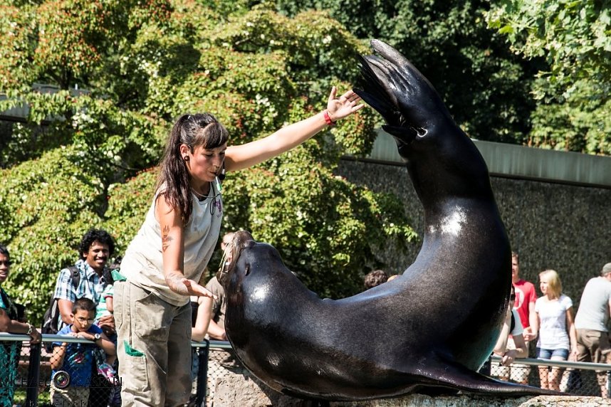 Stuttgart und der Stuttgarter Zoo