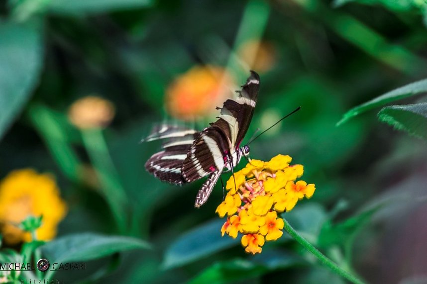 Stuttgart und der Stuttgarter Zoo