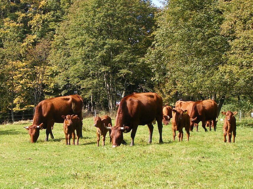 Forst-Farm l&auml;dt ein