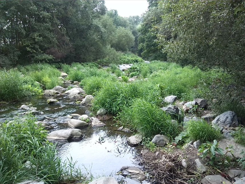 Exkursion entlang der Zorge