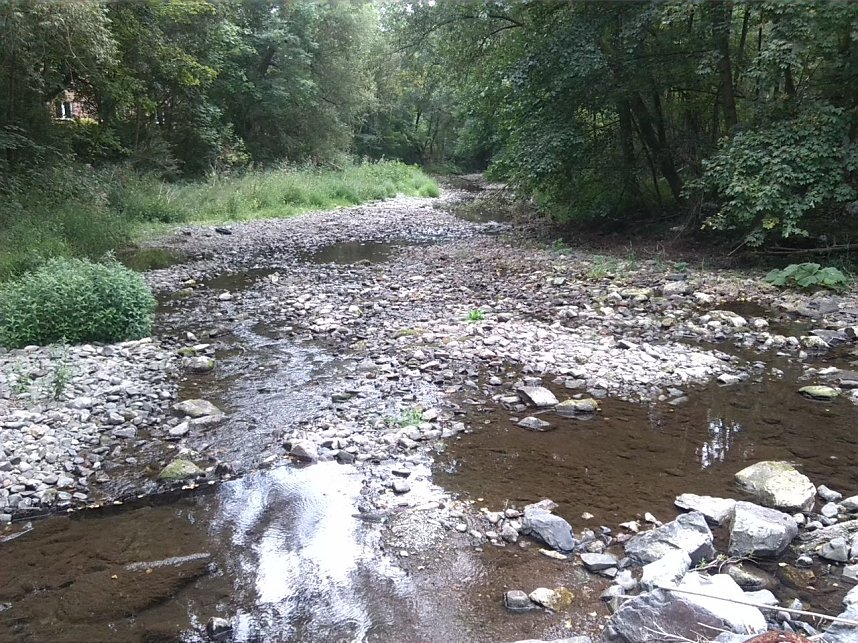 Exkursion entlang der Zorge