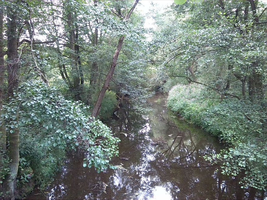 Exkursion entlang der Zorge