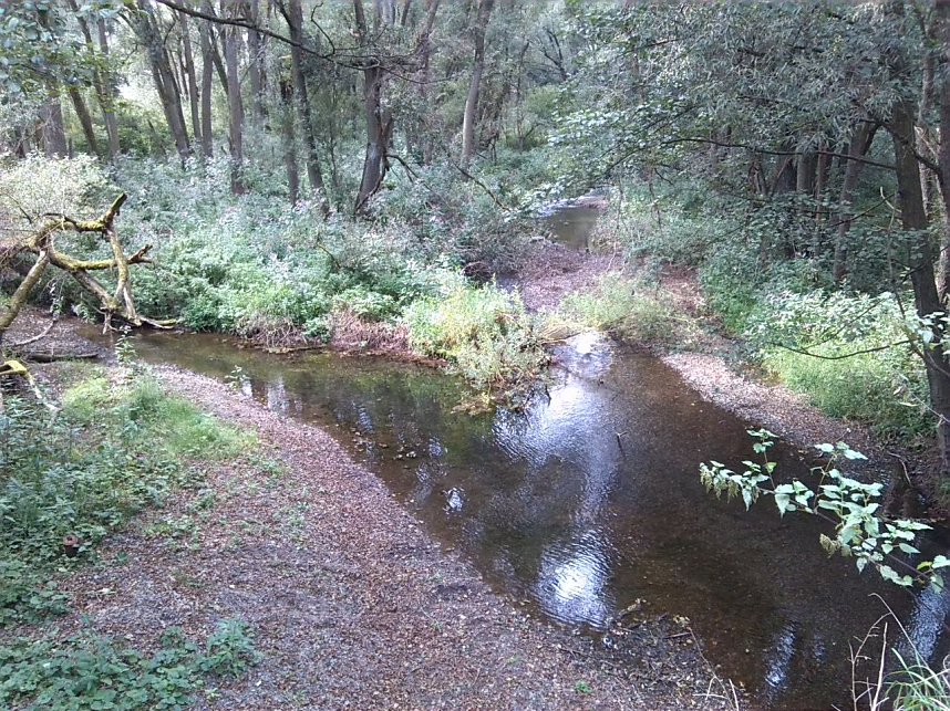 Exkursion entlang der Zorge