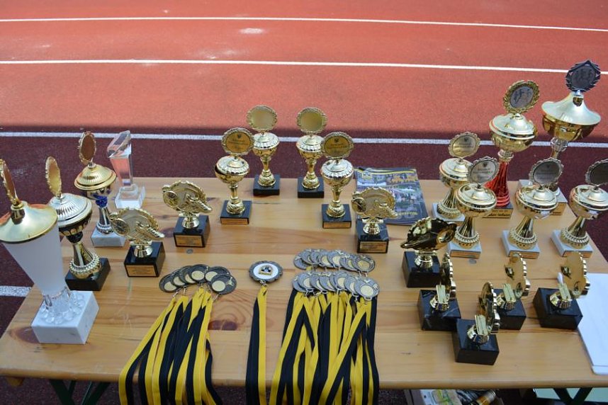 Tolles Vereinssportfest