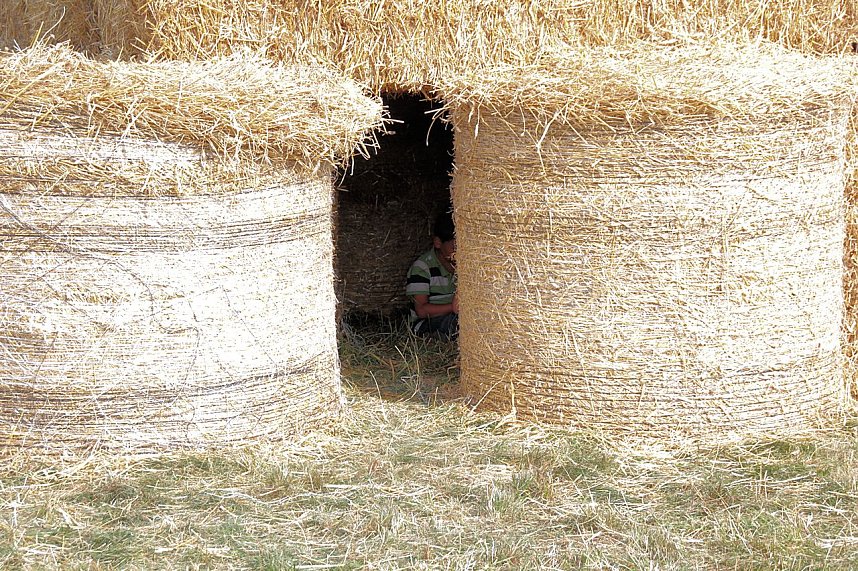 10. Hoffest auf der Ziegenalm