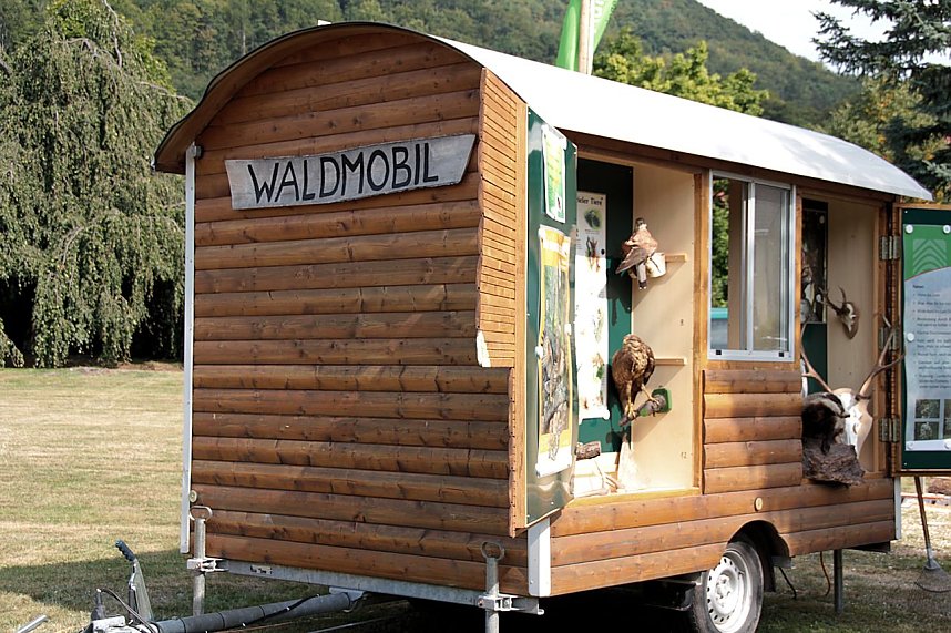 Herbstmarkt in Ilfeld