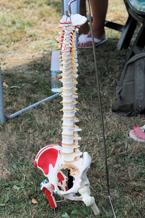 Herbstmarkt in Ilfeld