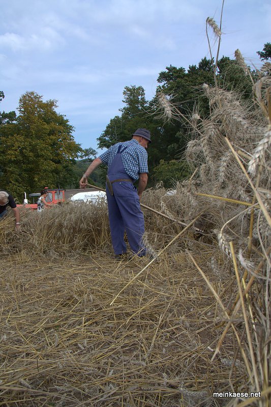 Schlepperfest in Herrmannsacker