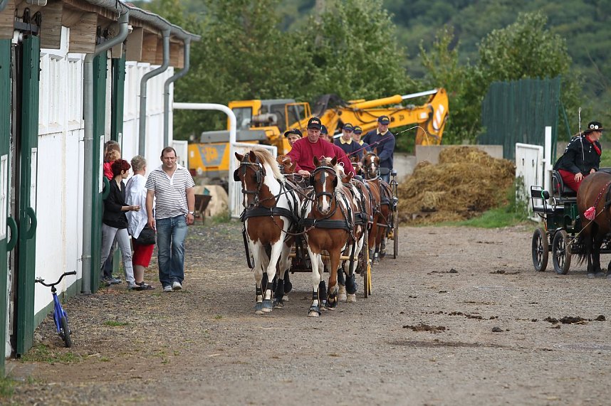 Besuch auf der Forst-Farm