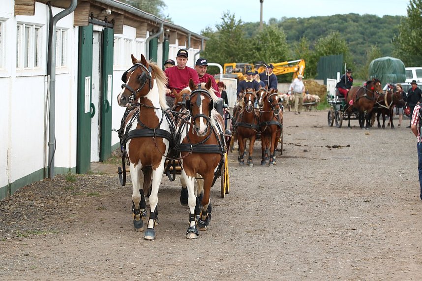 Besuch auf der Forst-Farm