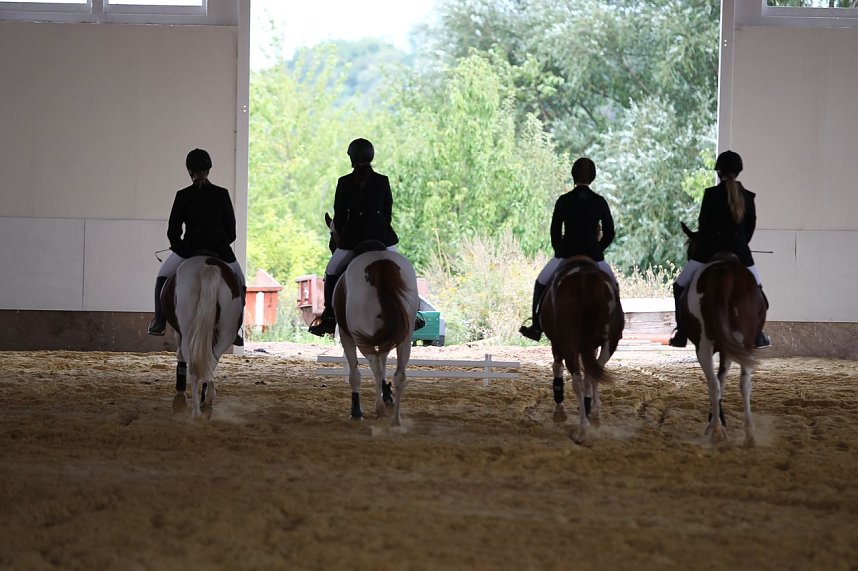 Besuch auf der Forst-Farm
