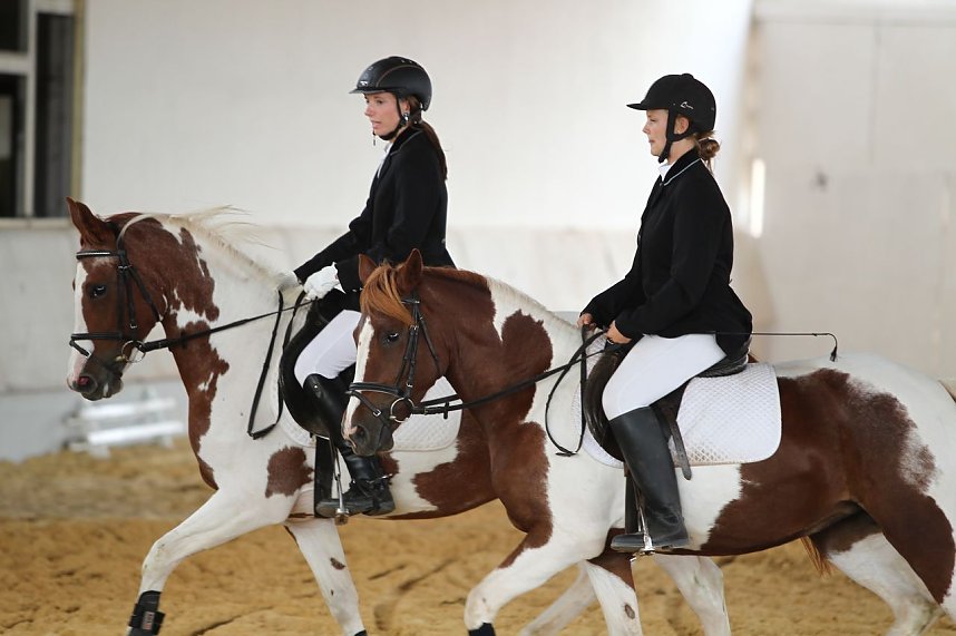 Besuch auf der Forst-Farm