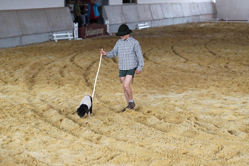 Besuch auf der Forst-Farm