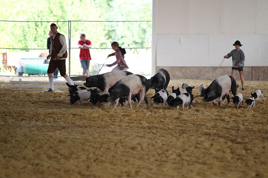 Besuch auf der Forst-Farm
