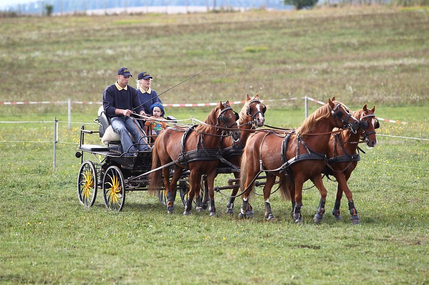 Besuch auf der Forst-Farm
