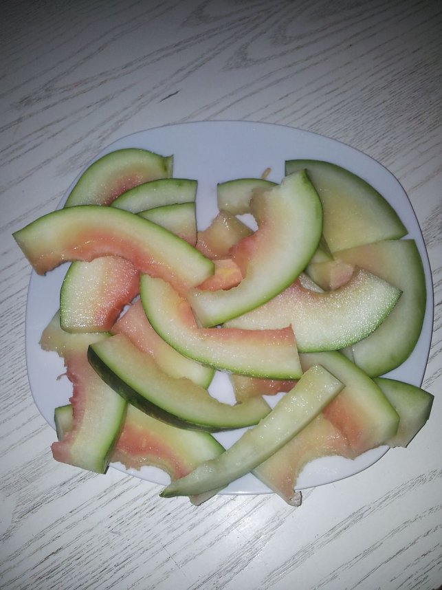 Der Werdegang einer Melone