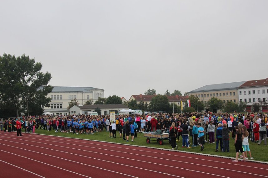 Sportabzeichen abgelegt