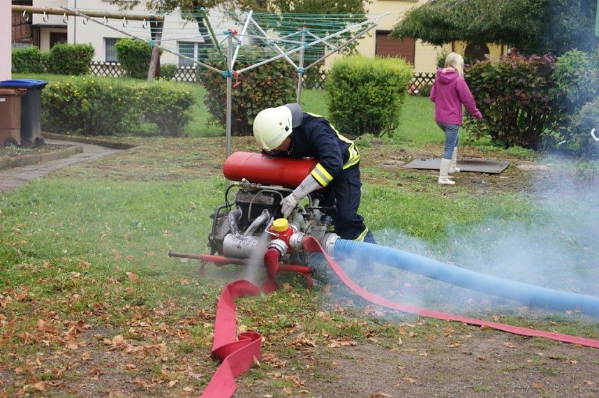 Der Nachwuchs kann sich sehen lassen
