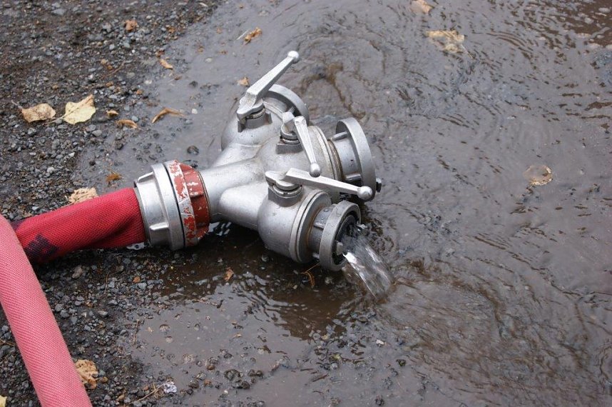 Der Nachwuchs kann sich sehen lassen