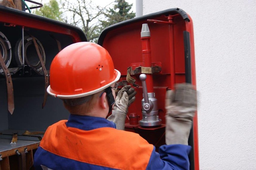 Der Nachwuchs kann sich sehen lassen