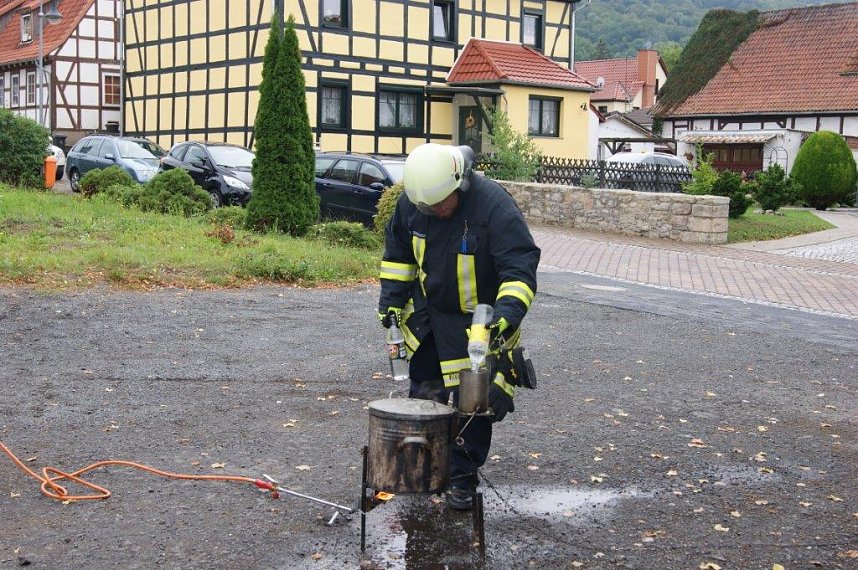 Der Nachwuchs kann sich sehen lassen