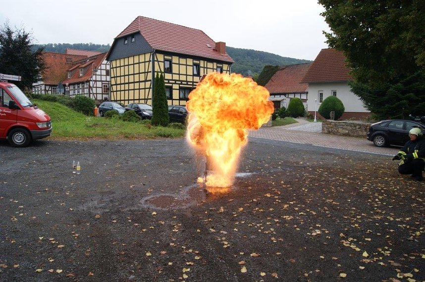 Der Nachwuchs kann sich sehen lassen