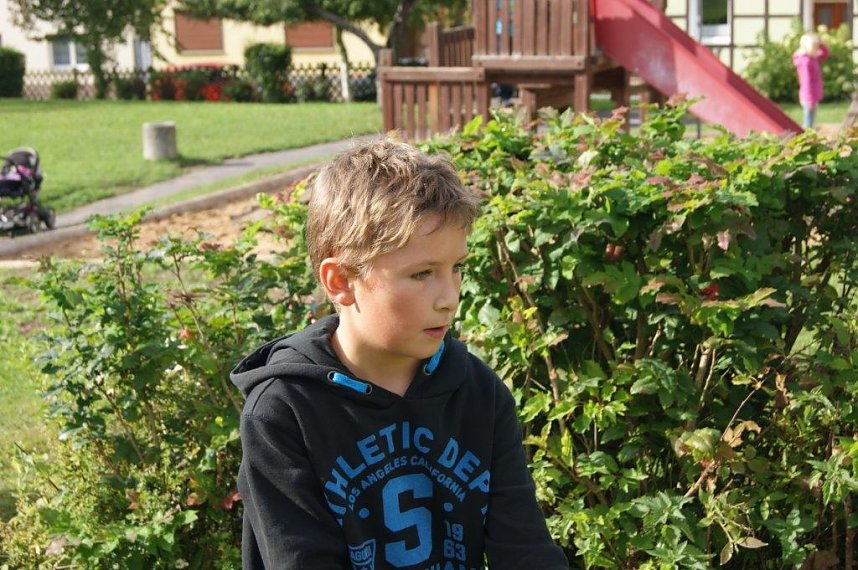 Der Nachwuchs kann sich sehen lassen