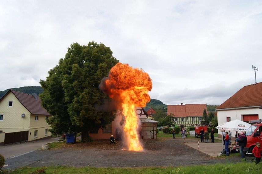 Der Nachwuchs kann sich sehen lassen