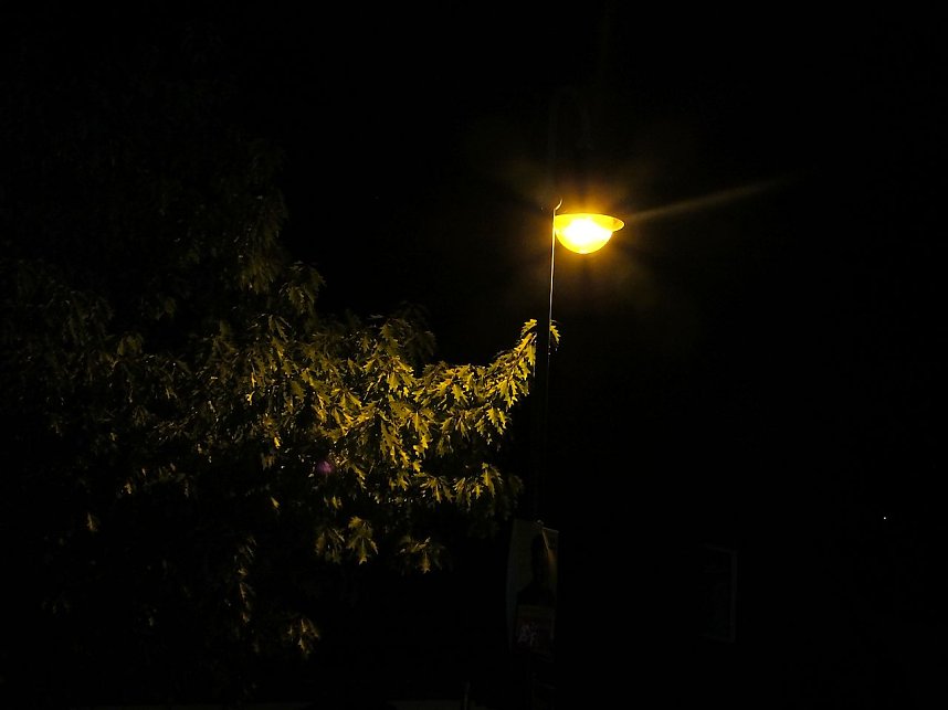 Das 30. Jazzfest ist er&ouml;ffnet