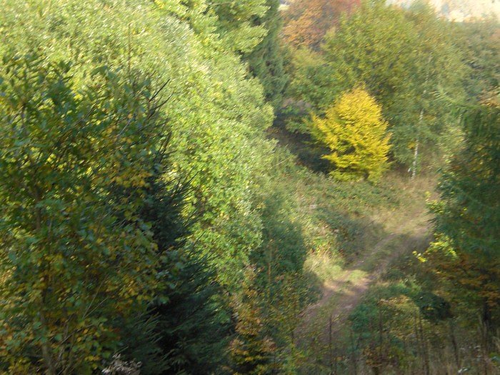 Unterwegs in S&uuml;lzhayn