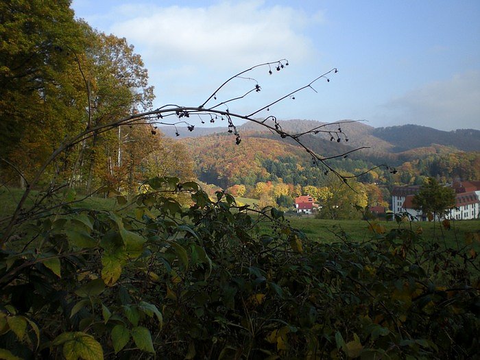 Unterwegs in S&uuml;lzhayn